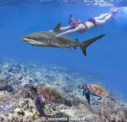 Shark Girl with Turtle escorts! by Jeannette Howard 